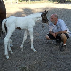 Meet your Posher, Timothy
